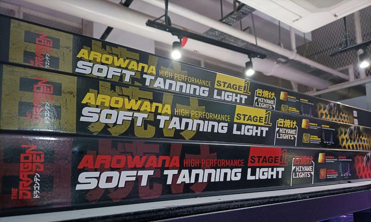 Buy Arowana Tanning lights | Dragon Den from Largest Online